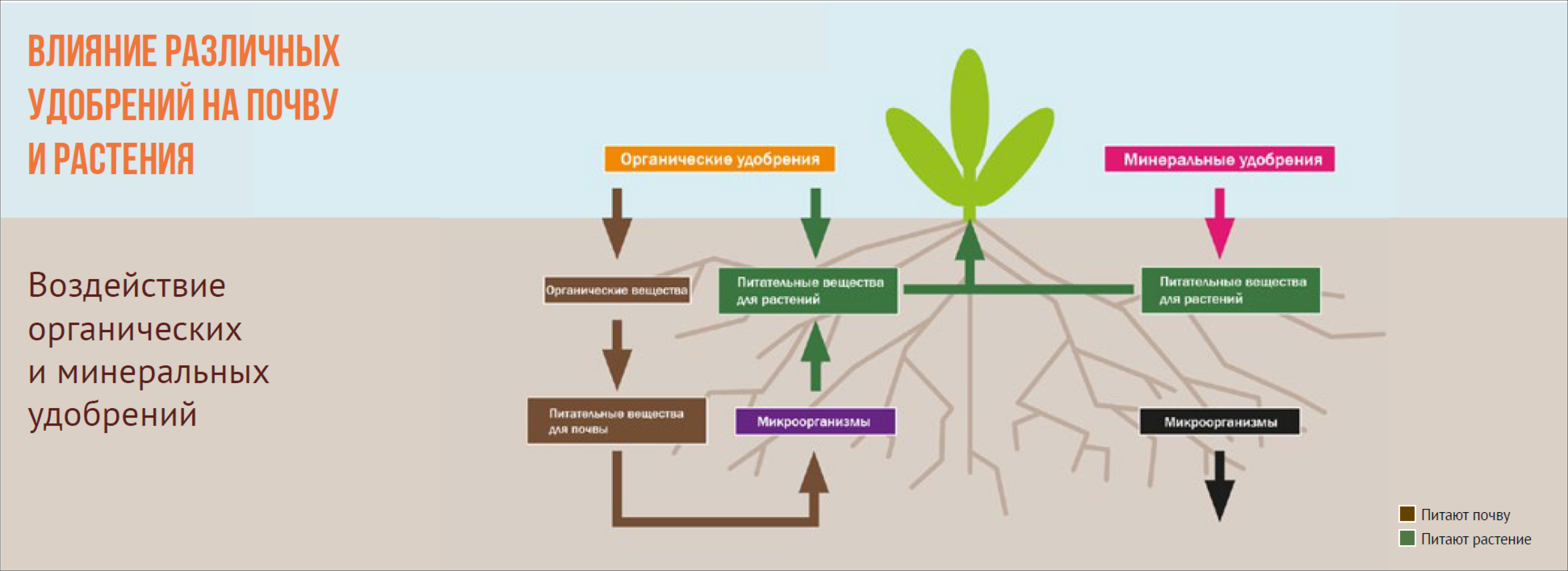 Схема работы удобрений